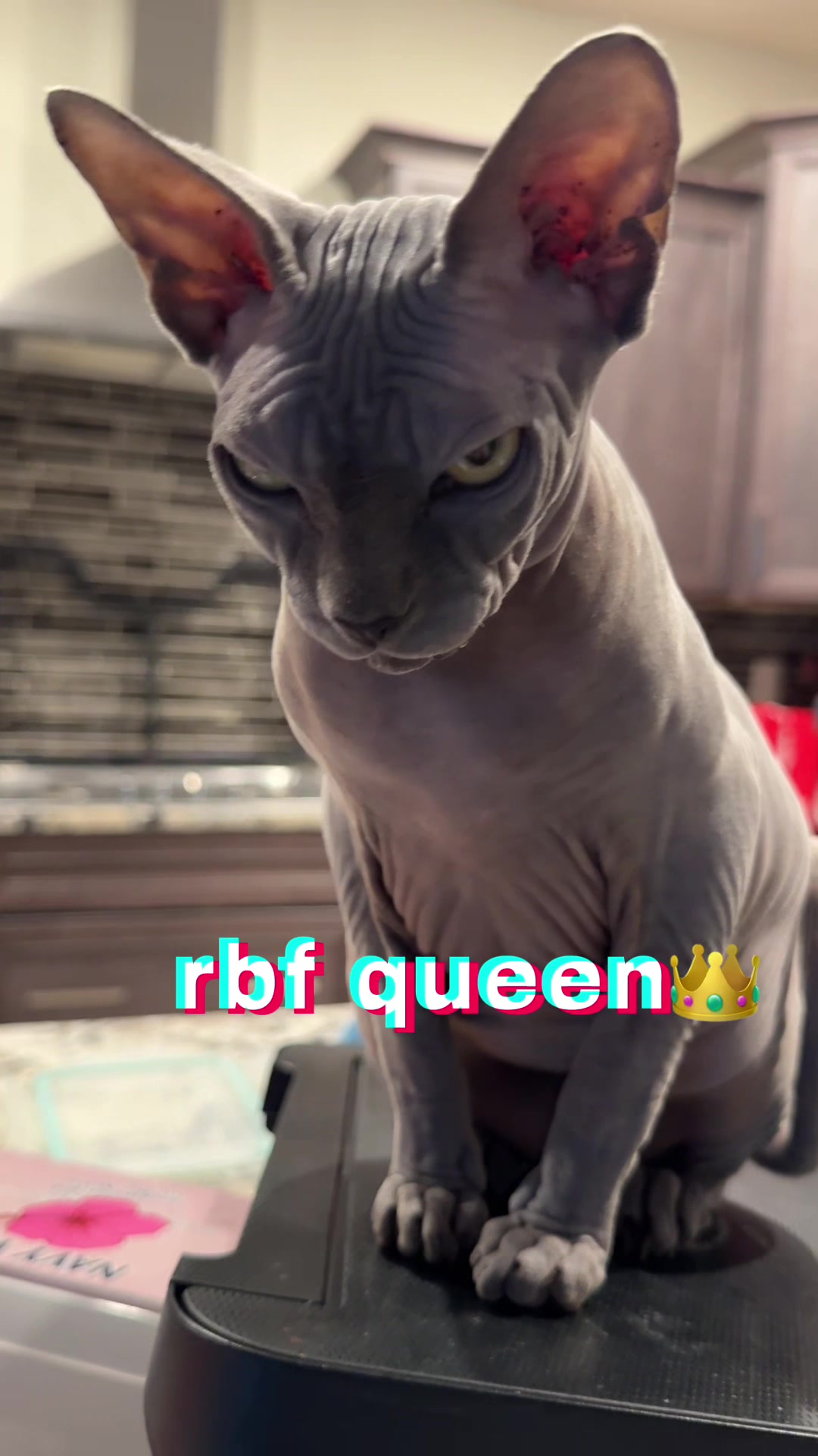 @BomboCats