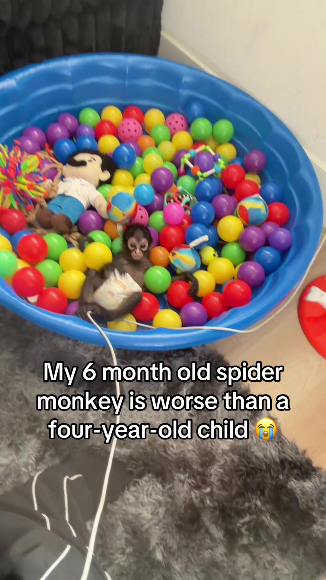 @OJTV & Mojo Jojo🧡