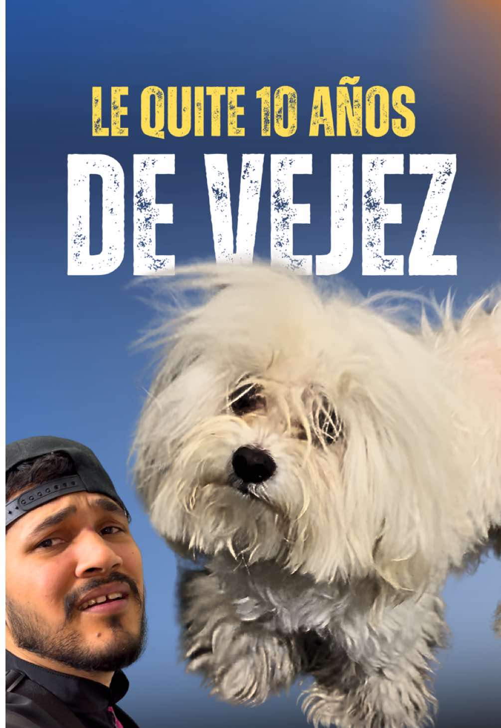@VICTOR THE GROOMER