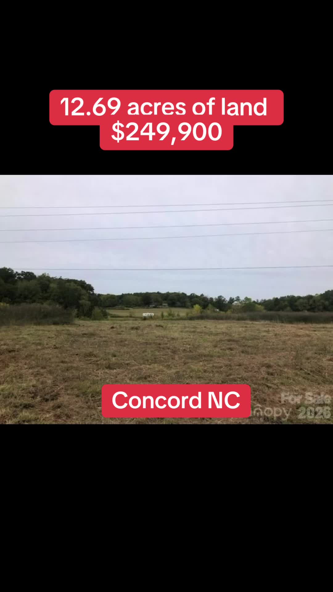 @🥇 Haydee Trejo | NC Realtor