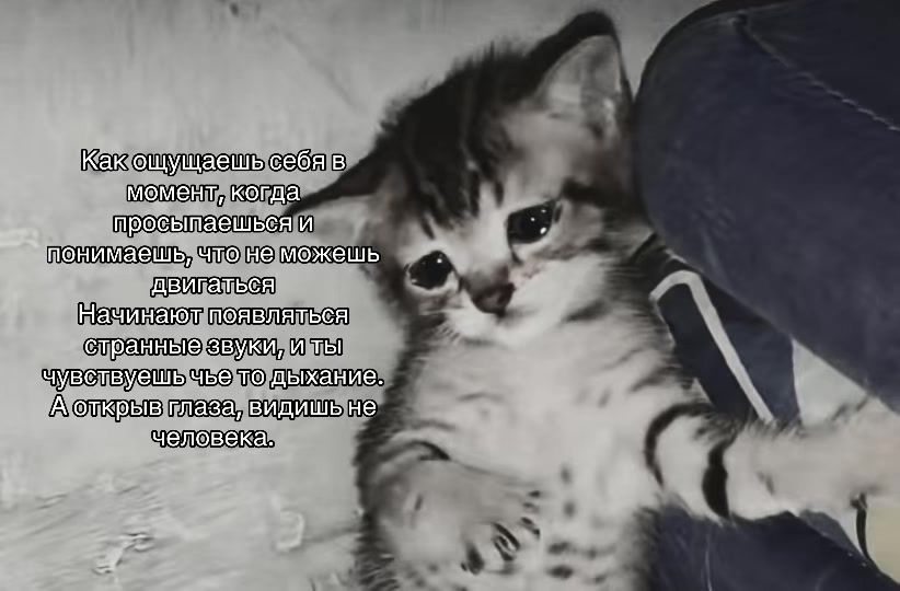 @Спящая