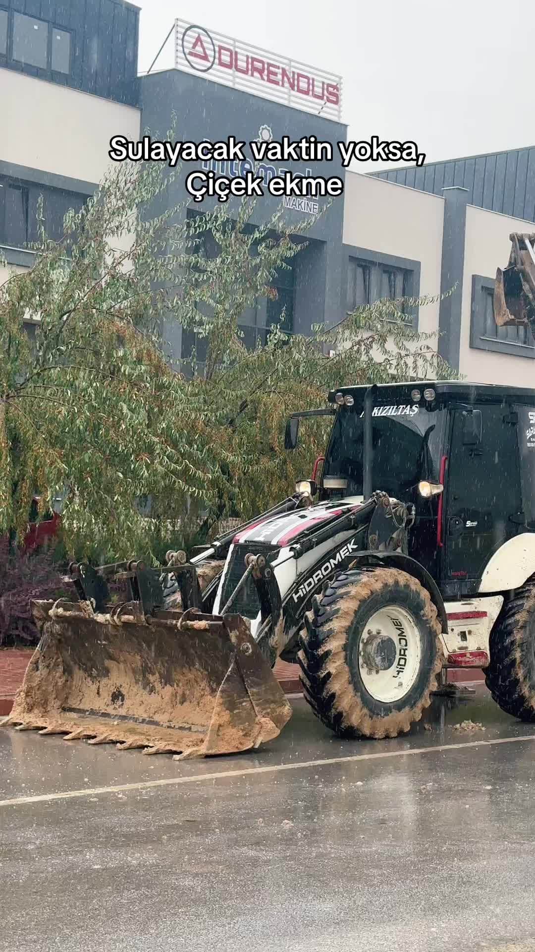 @Hasan Dadalı