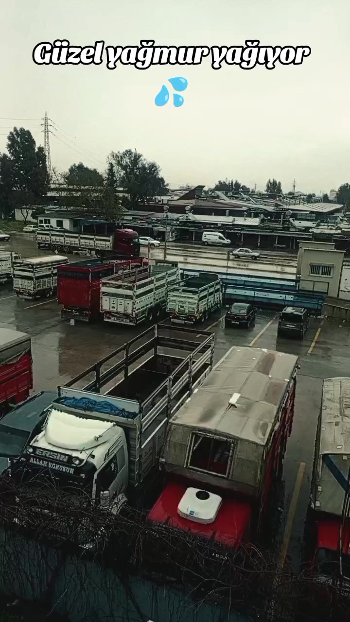 @Melek Yıldız