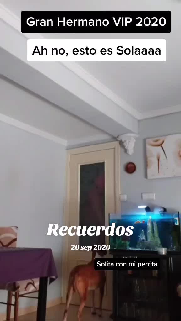 @AlexAndru