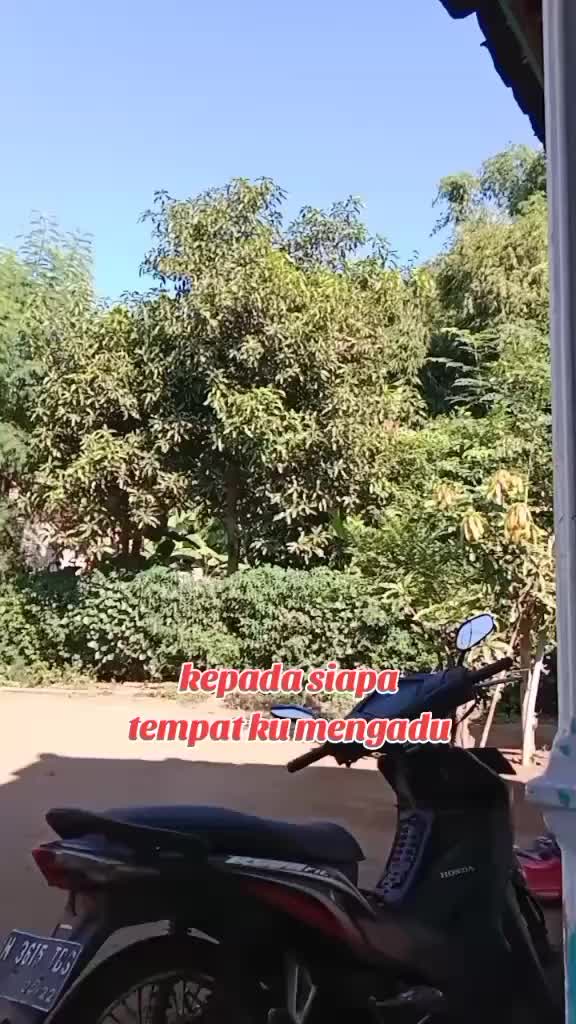 @alimuhsin74