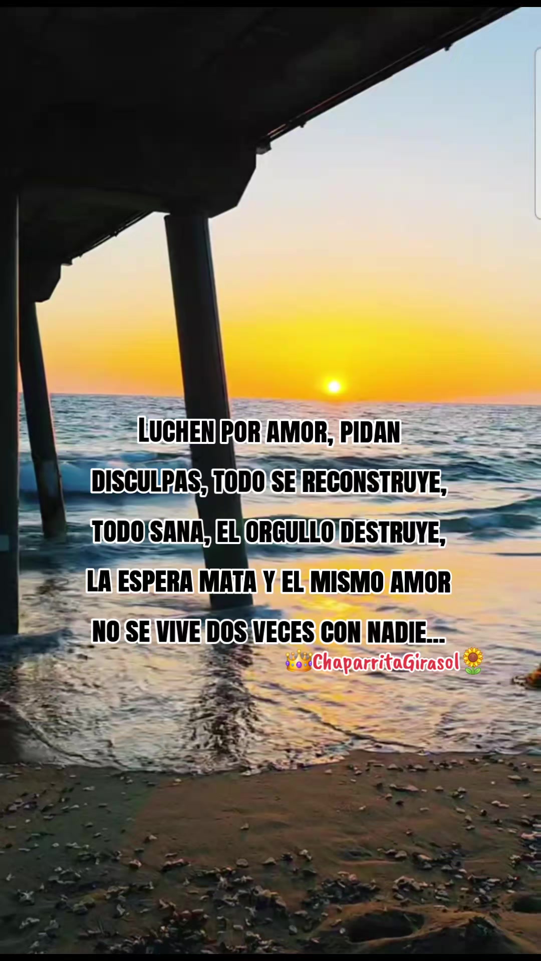 @👑Chaparrita Girasol🌻