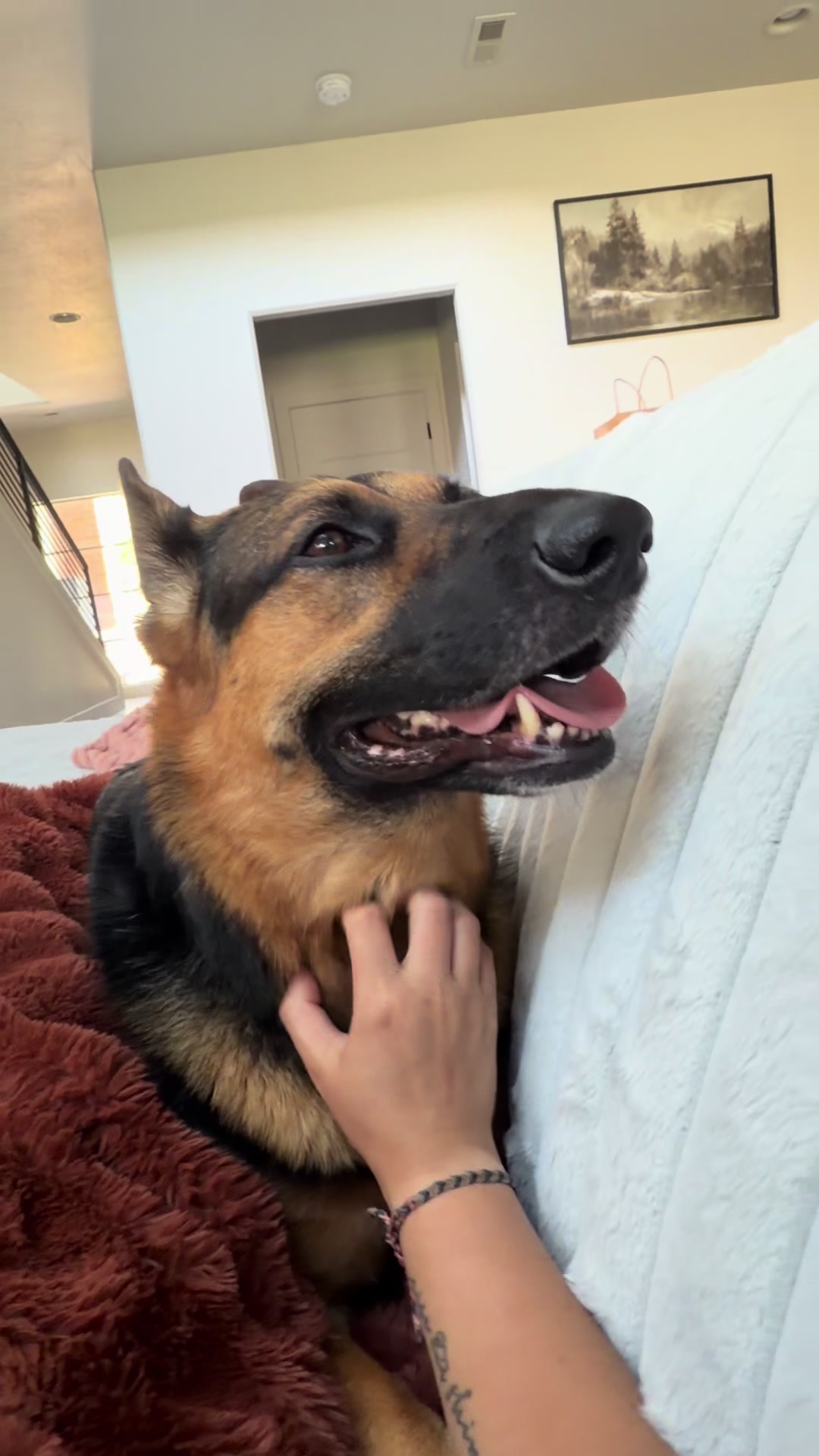 @Rory The Not-Working GSD