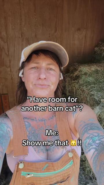 @Haylittlemama❌