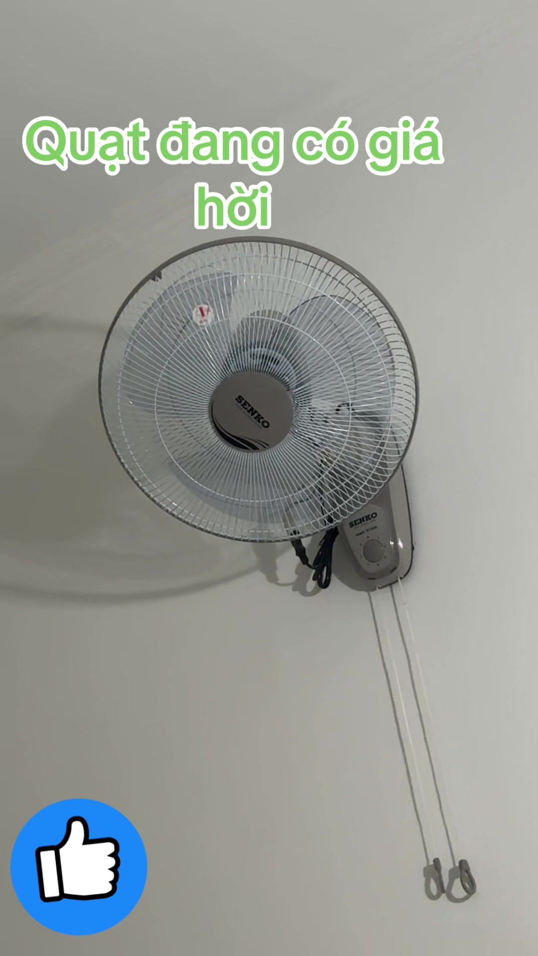@Bi-Bo 678