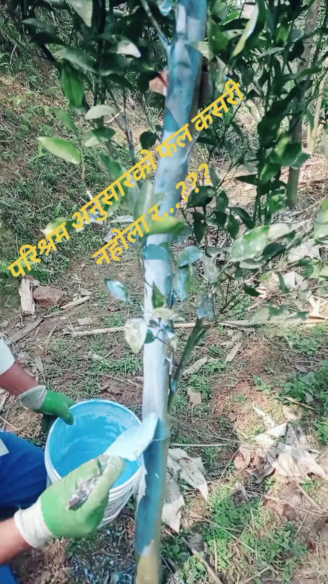 @Pratik Bhandari