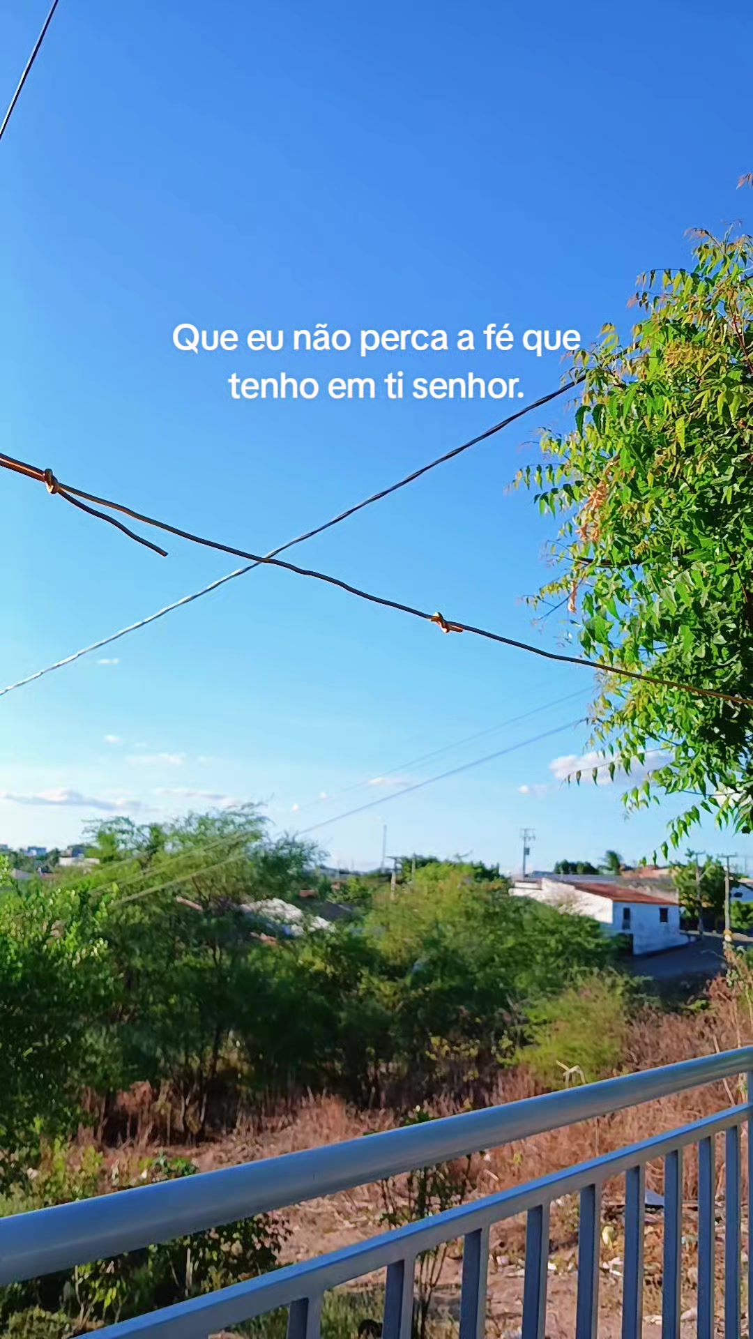 @Kelinha ⚘️