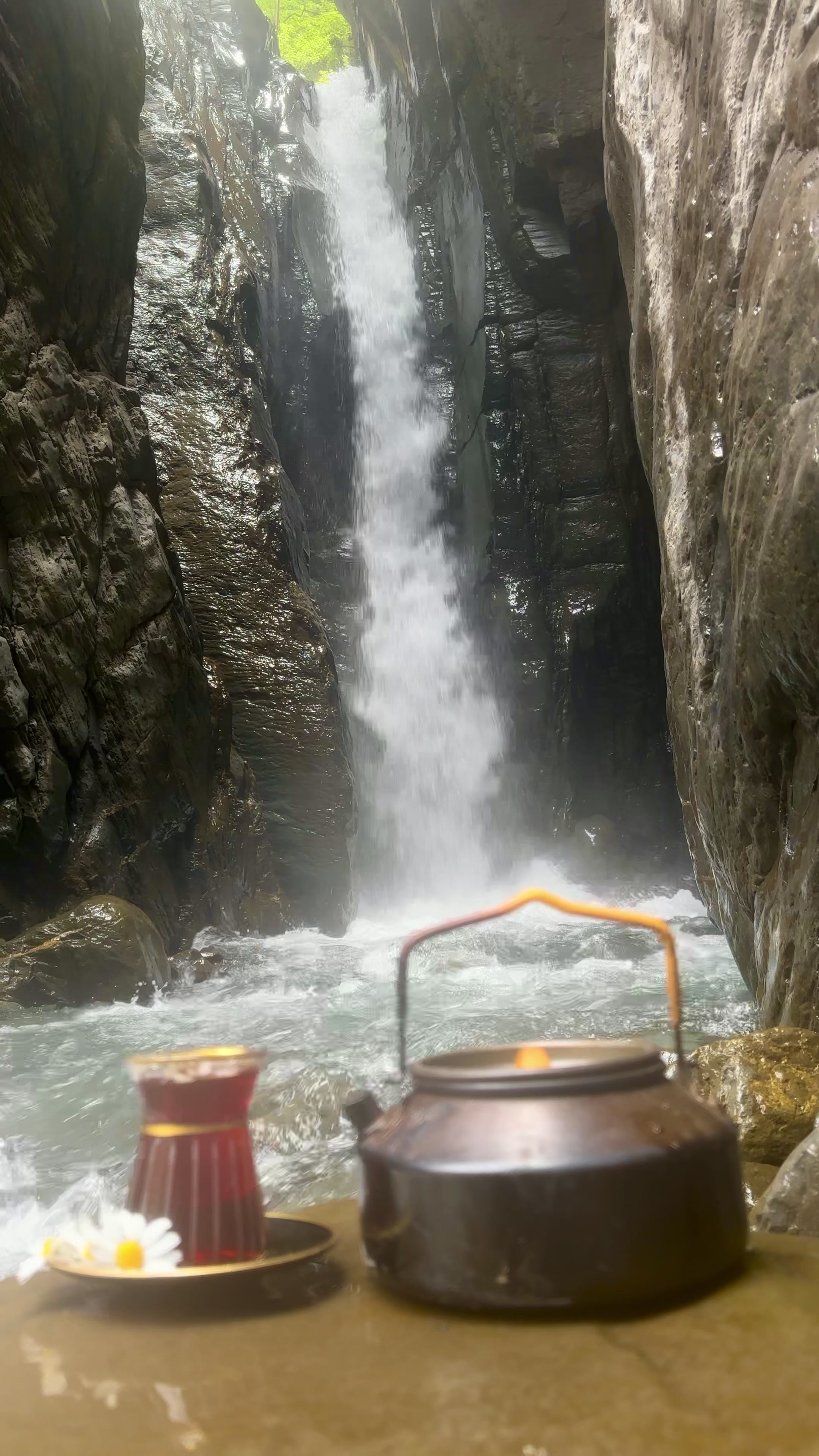 @𝑨𝒅𝒊𝒍𝒐𝒗🌿