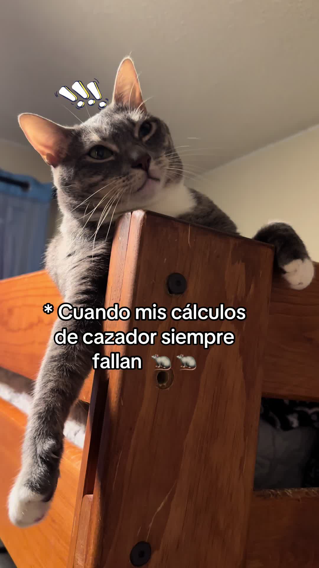 @Liz Vall.