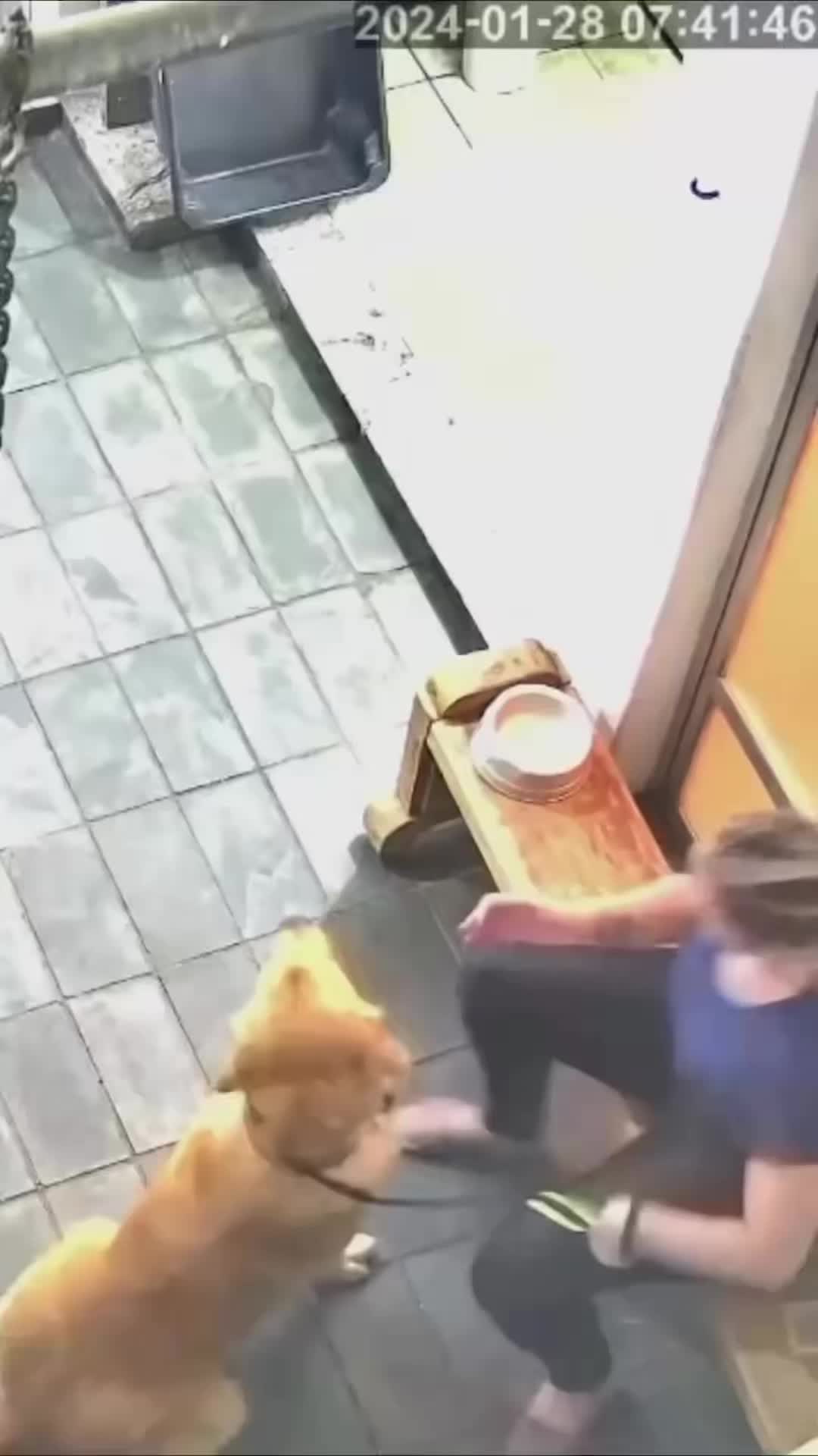 @Cali K9