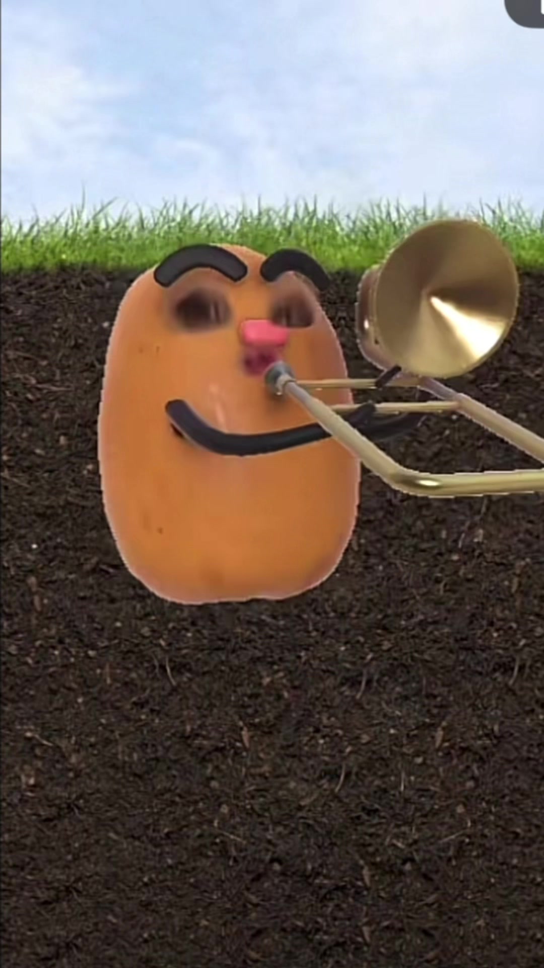 @⟡.·🌻🆕~화채~🆕🌻𓈒𓂂𓇬