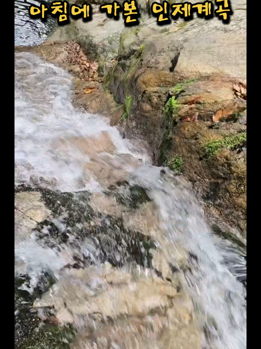 @❄️개그맨김주철●섬총각●💠🇰🇷🔝