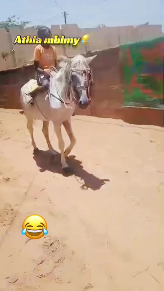 @Dev eriksen4453 ✪
