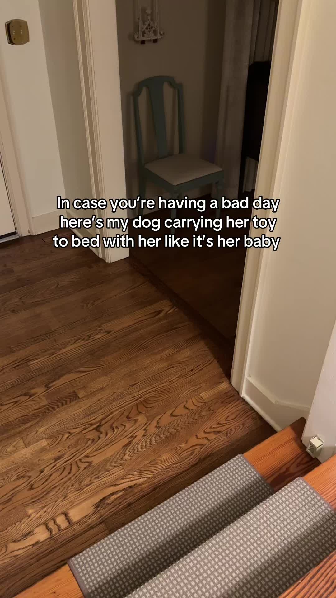 @Lucy Lou