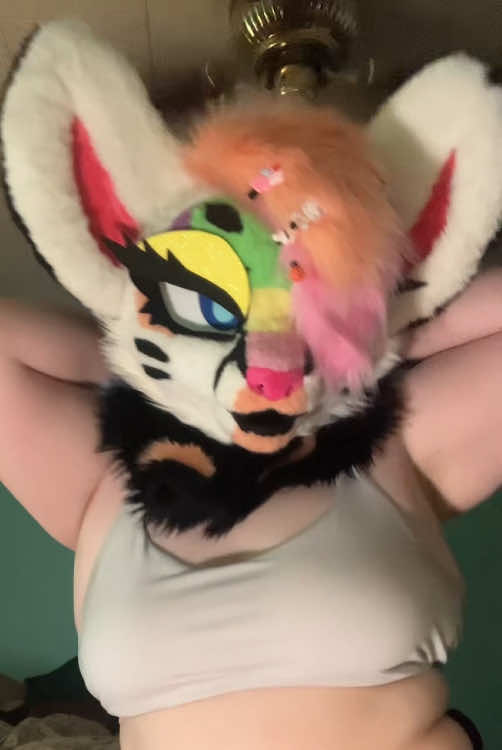 @Liger~Liger🐾🍉