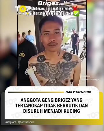 @BumbleBee™