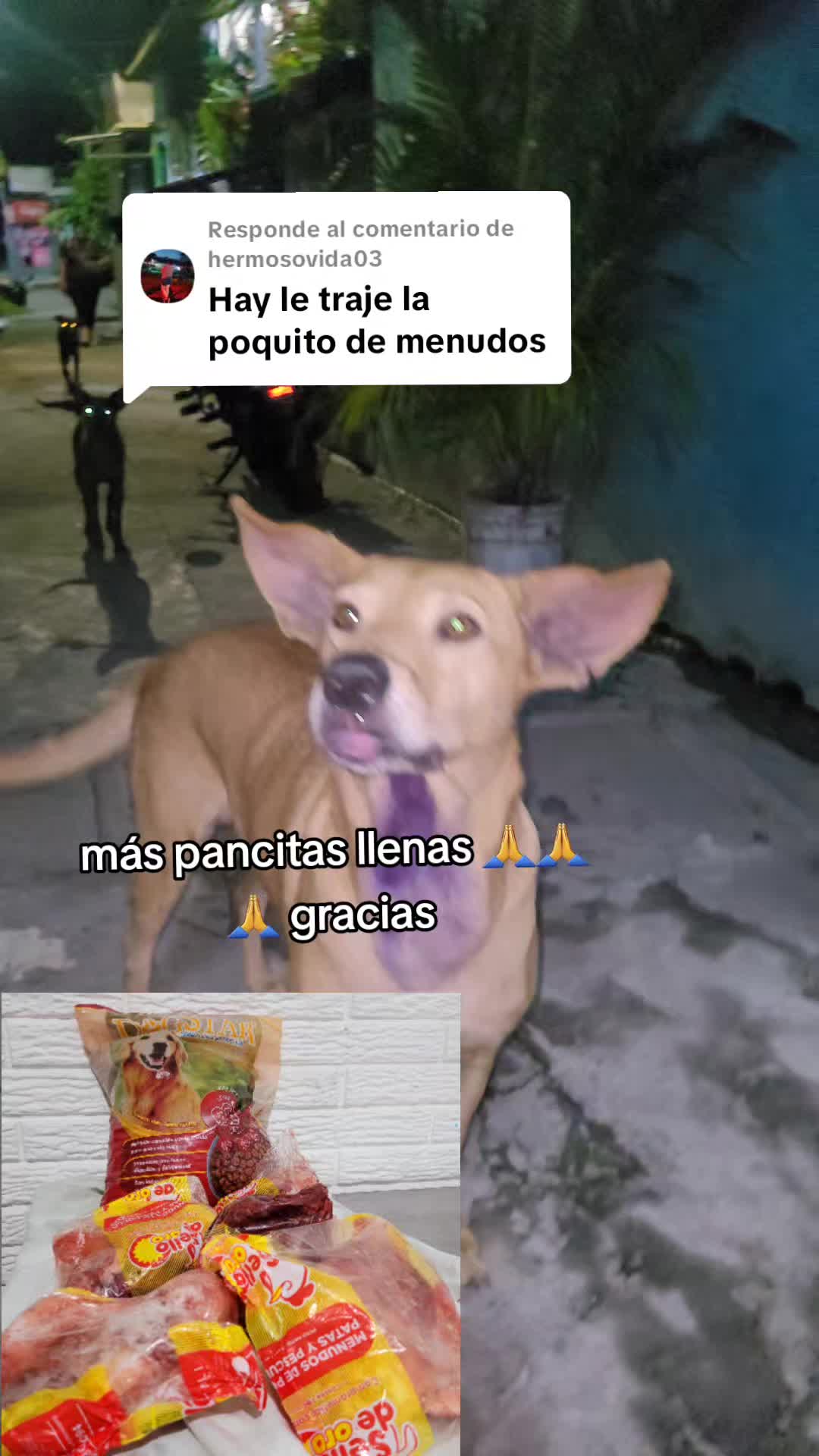 @𝕃𝕚𝕤𝕤 ℝ𝕖yes🇸🇻