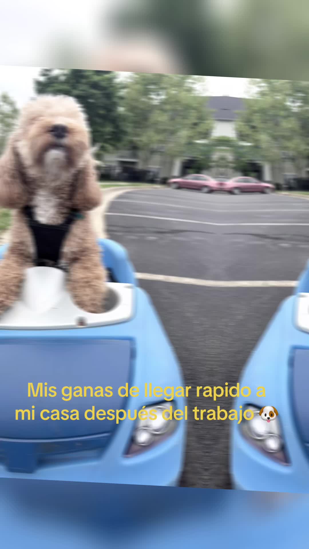 @pattycastillot