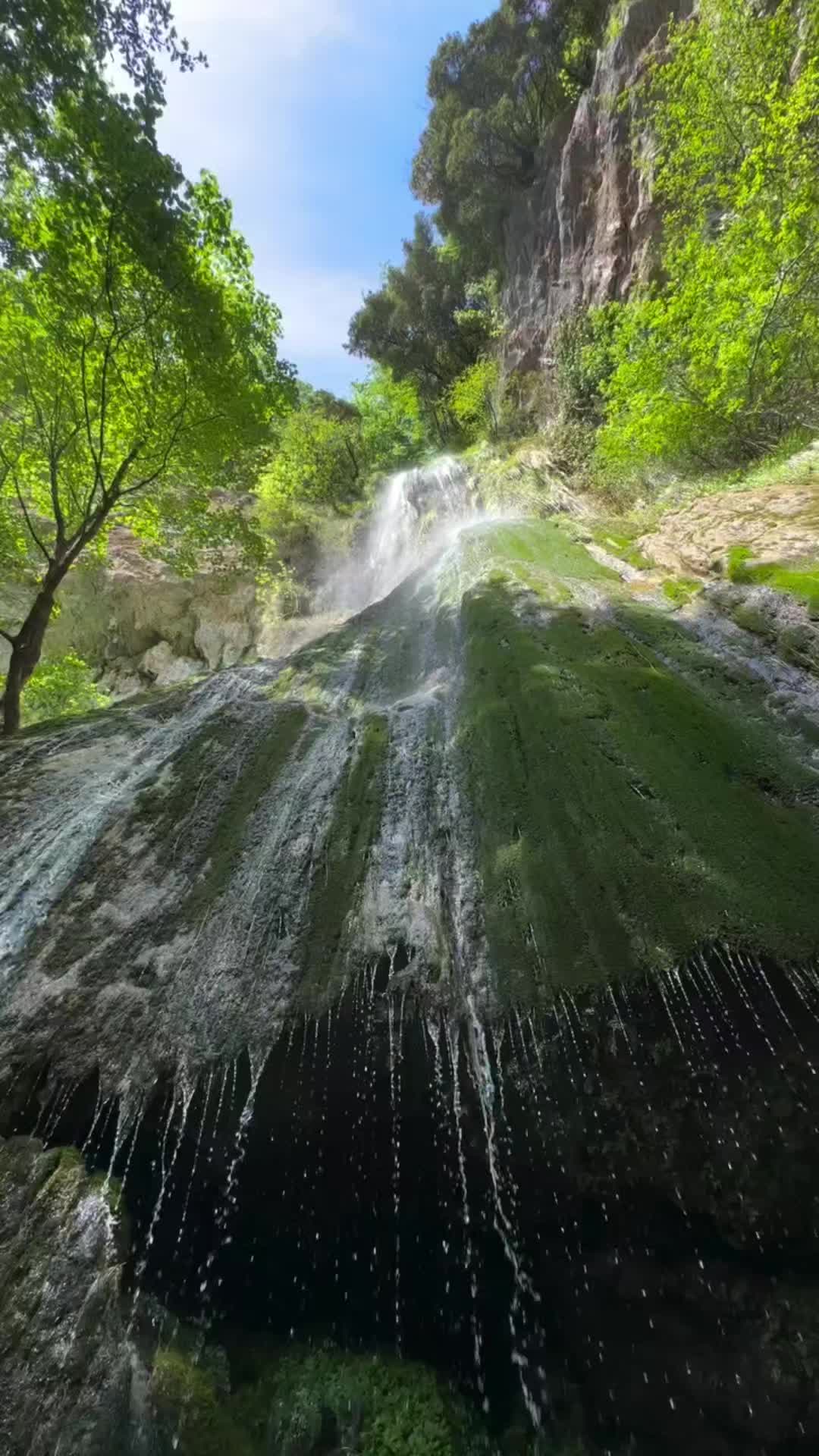 @salvatorebottone