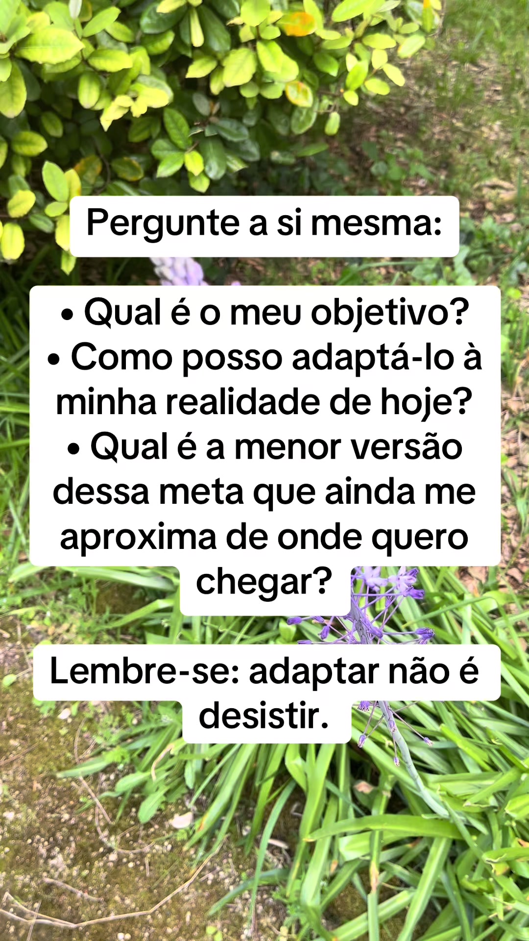 @Vanessa E. Santos | Terapeuta
