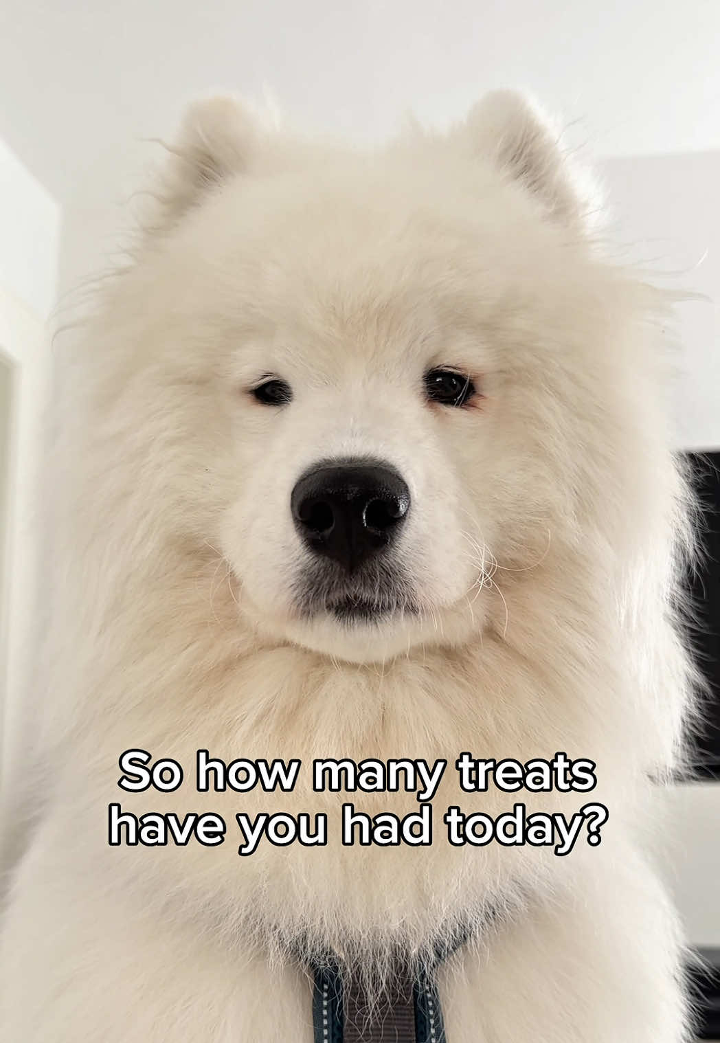@snowydayswithlio
