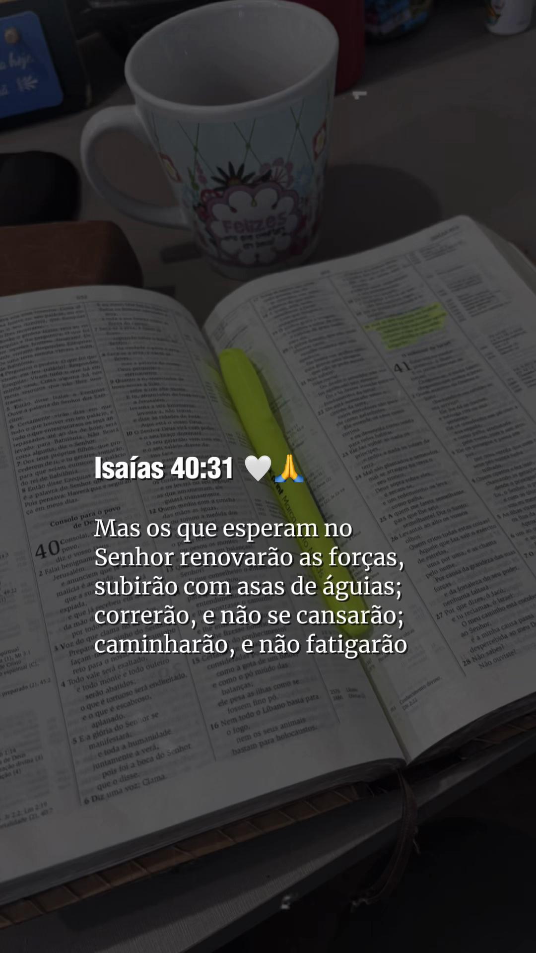@Fr@ncielle Alves