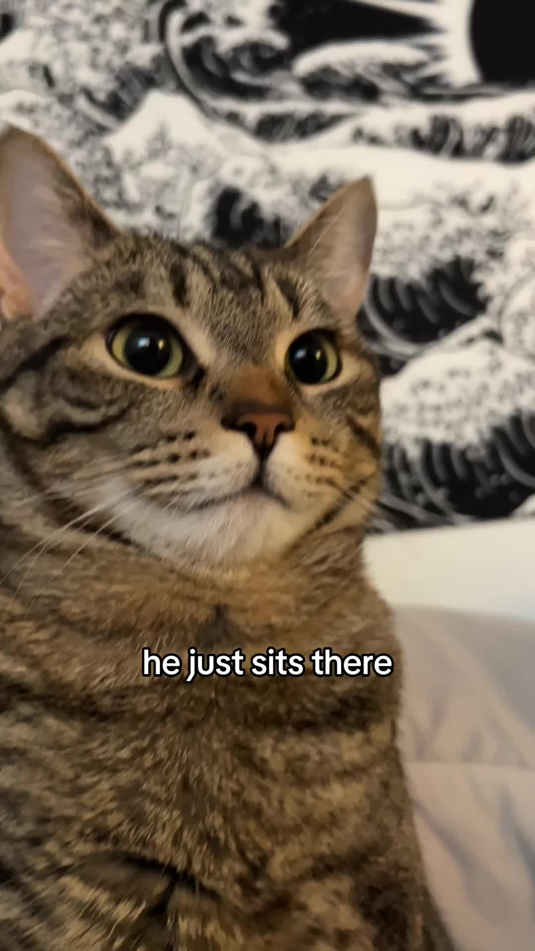 @Blawg