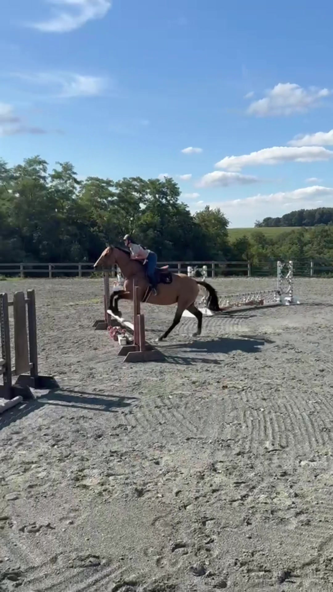 @Aftyn 🐎