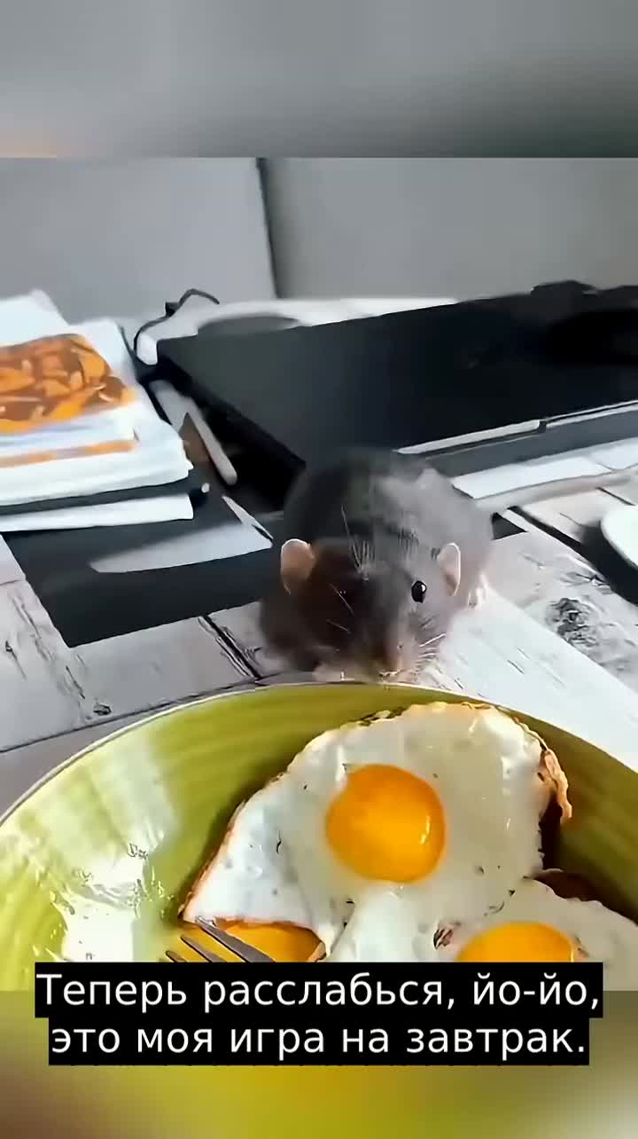 @LaughDose