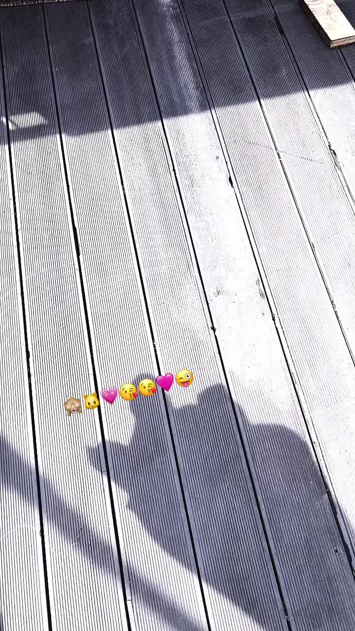 @Tala🌸🌺
