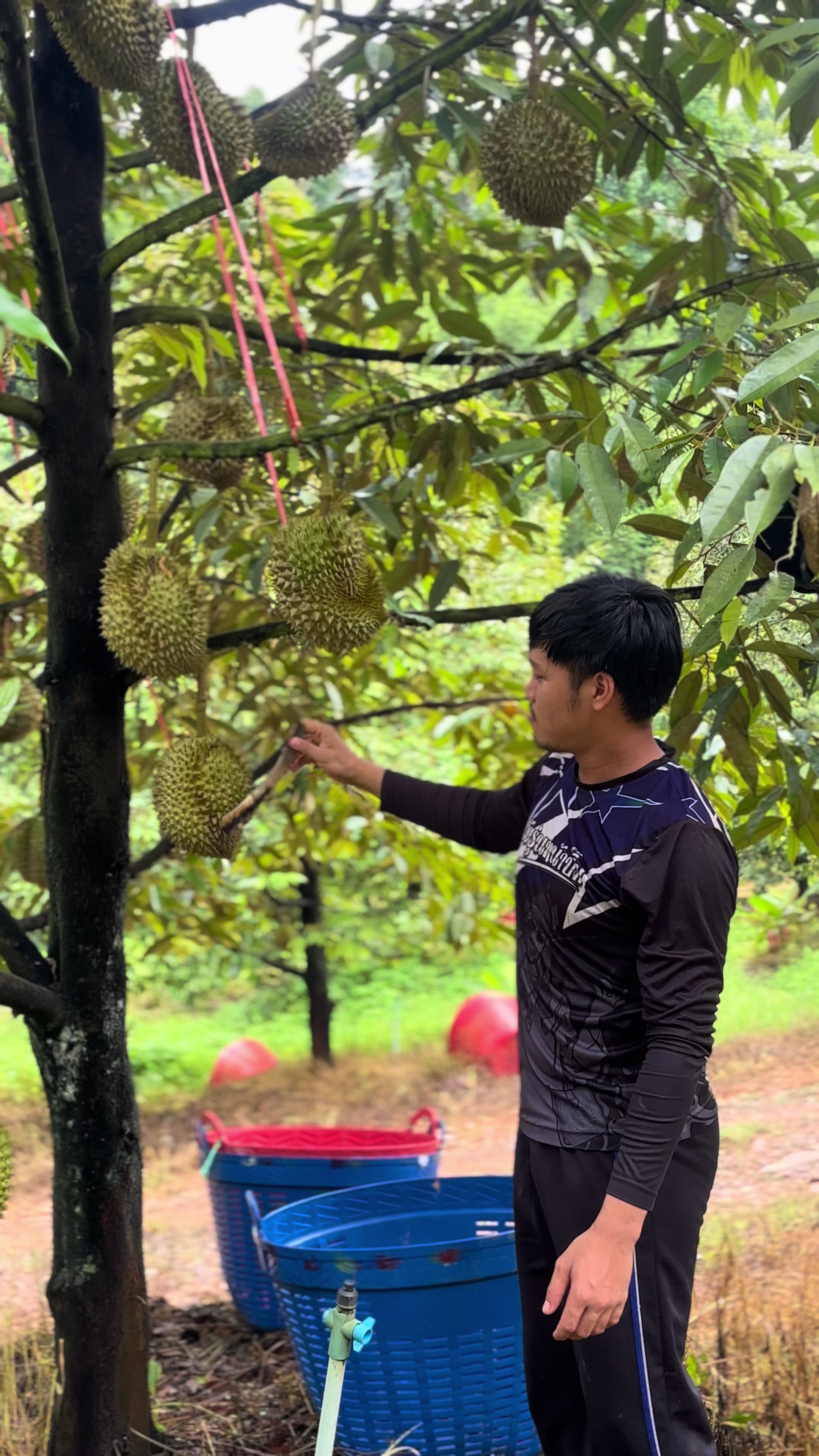 @เเบงค์ ชนะชัย  ଽ🌳🪣🍅