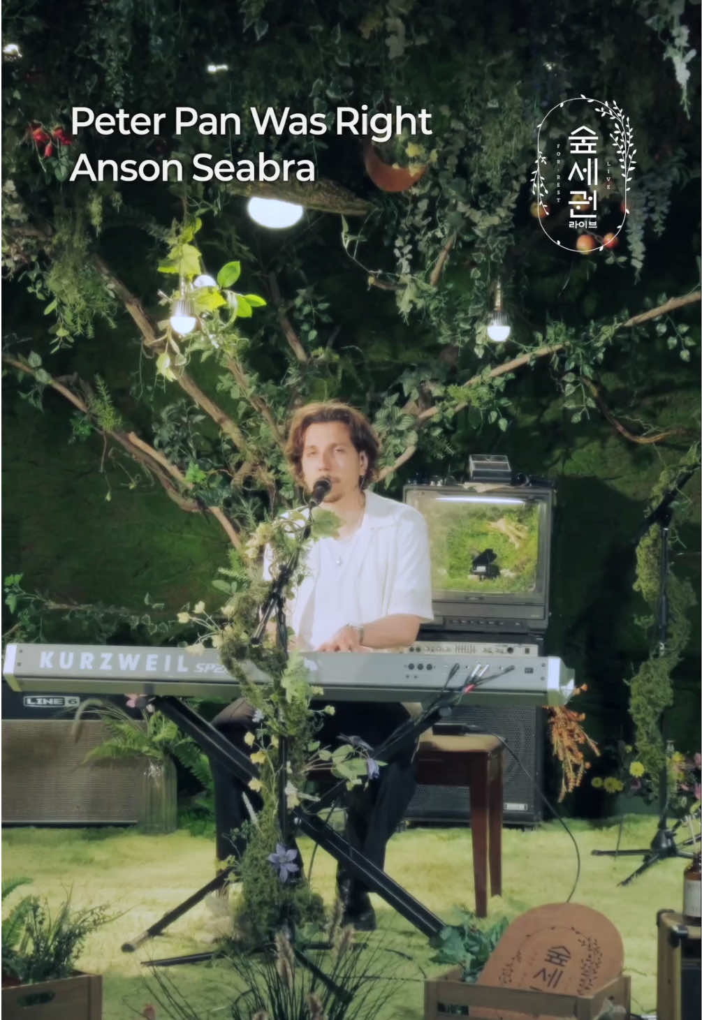 @Anson Seabra