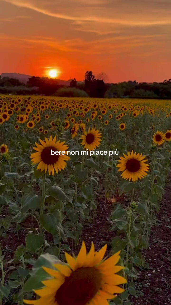 @🎧Patricchino🎧