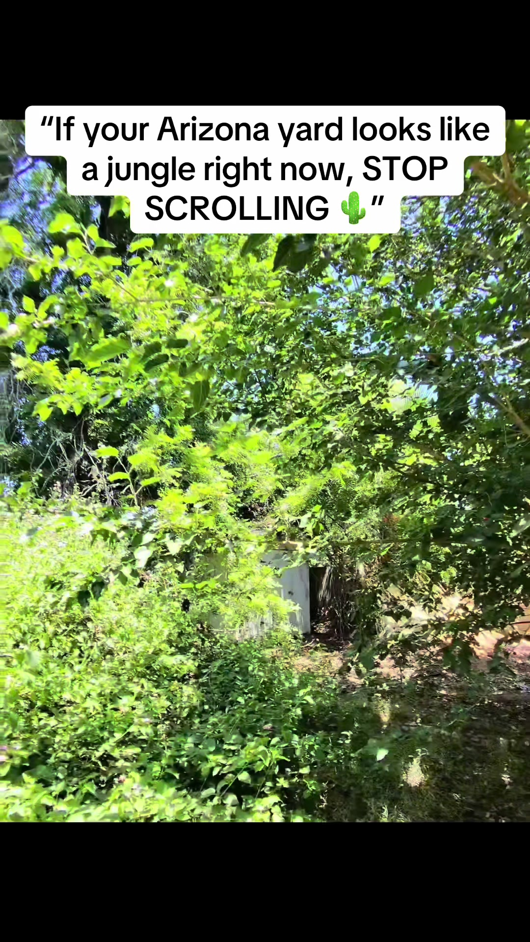 @AJ's LANDSCAPING