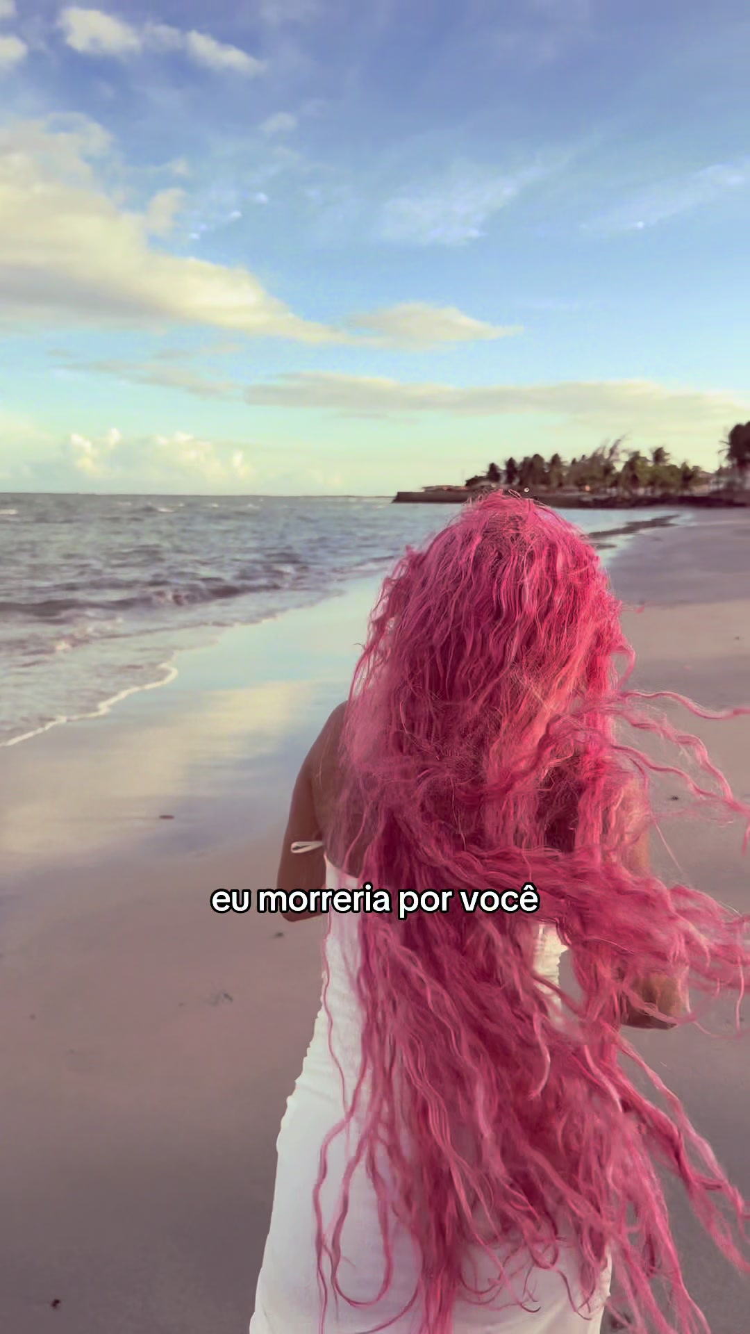 @Eduarda Alves