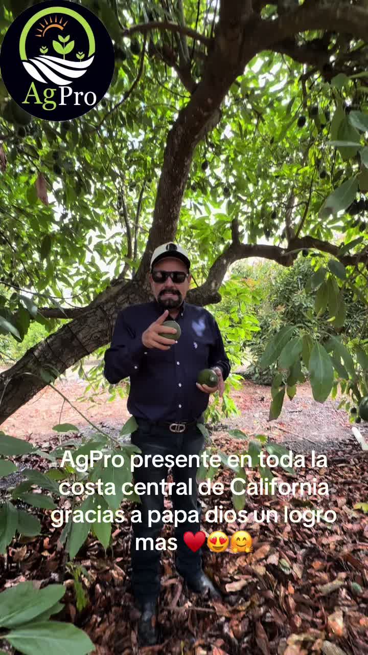 @Piedad Ayala