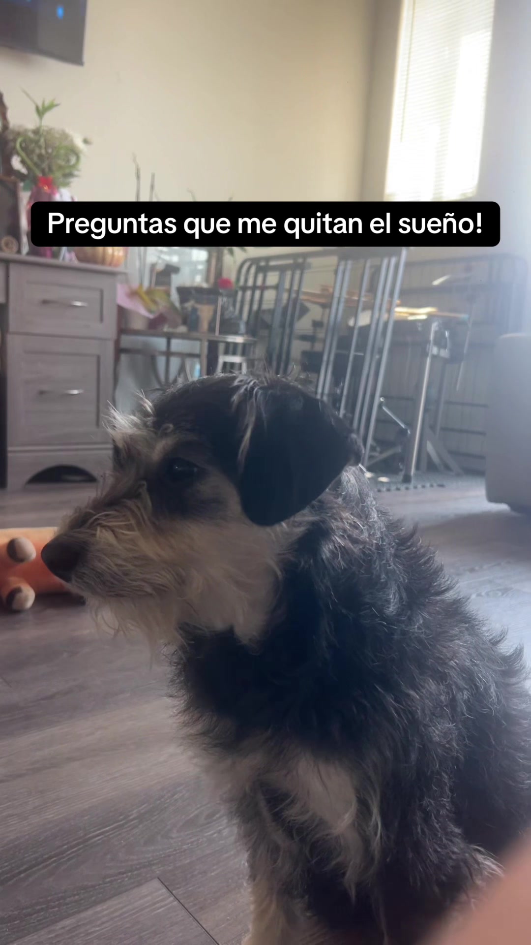 @Cinthya Carrillo