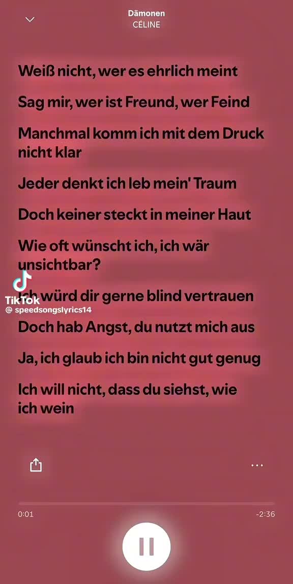 @🇩🇪Schlagerpunk🇩🇪