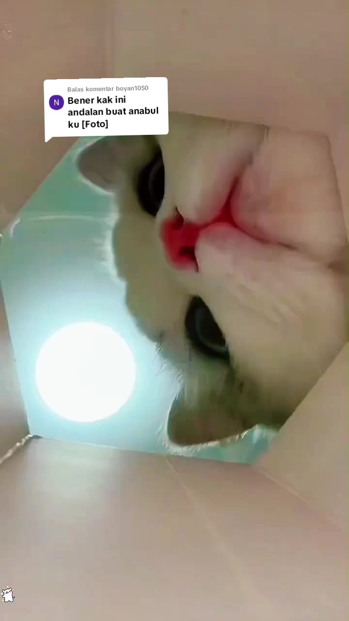 @Aini Nani