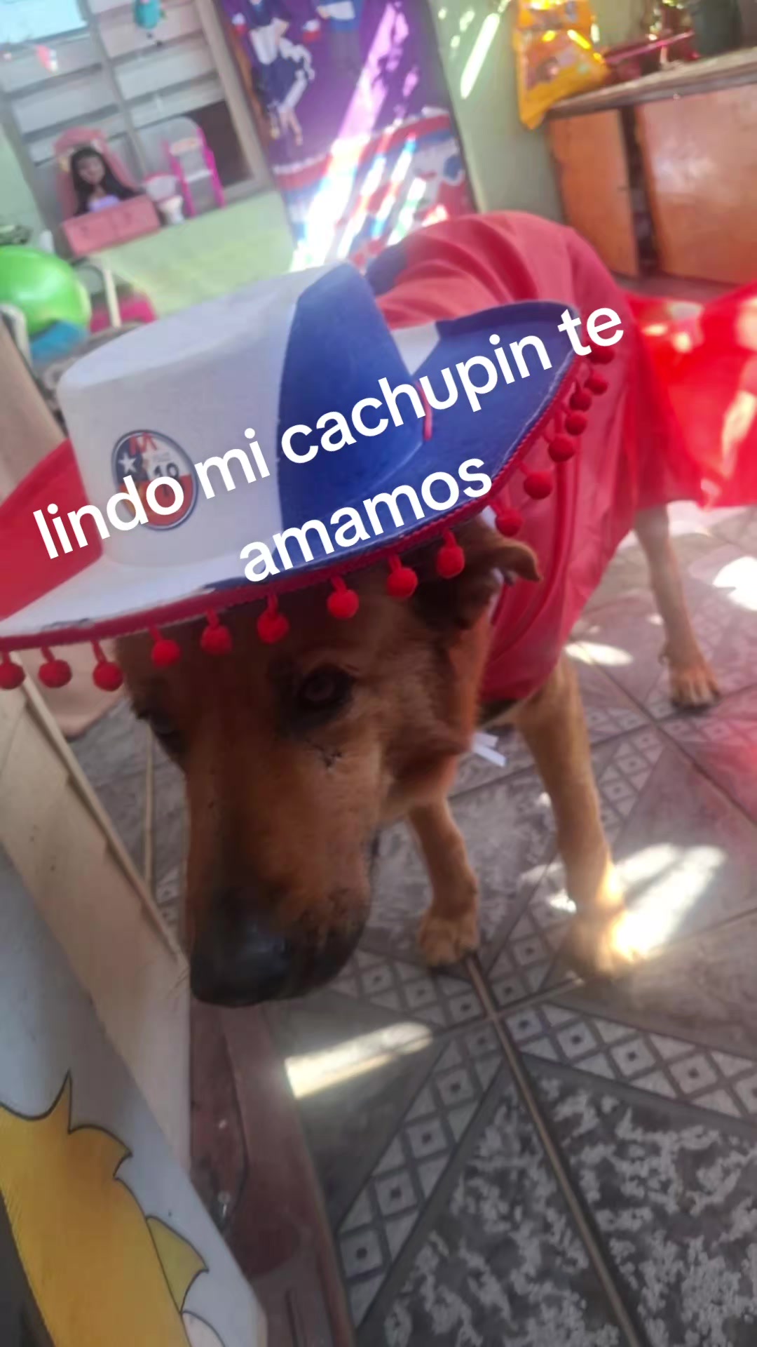 @yoca roman