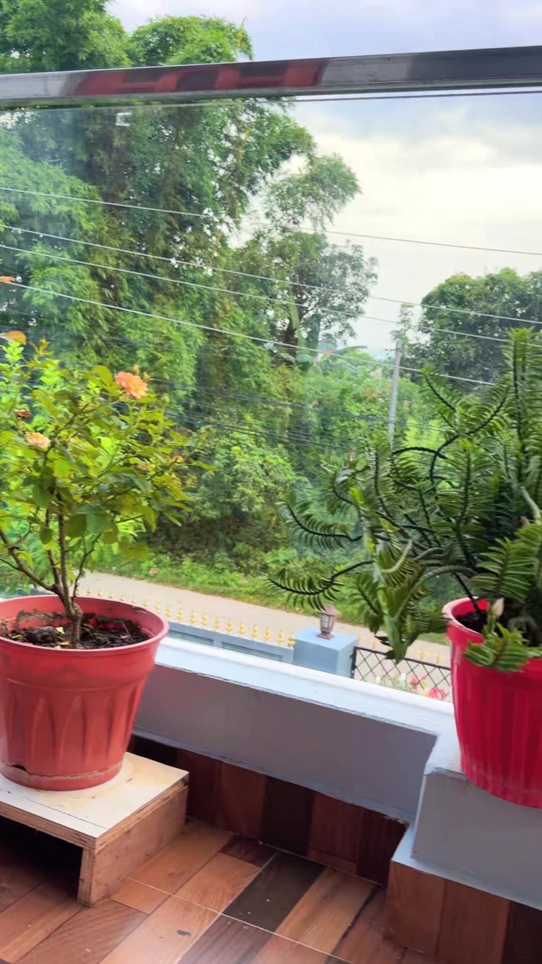 @Sitakhatrithapa✨❤️