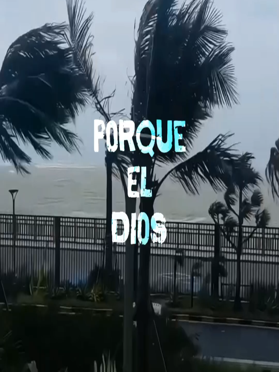 @𝗠𝗨𝗦𝗜𝗖 𝗩𝗜𝗕𝗘𝗦