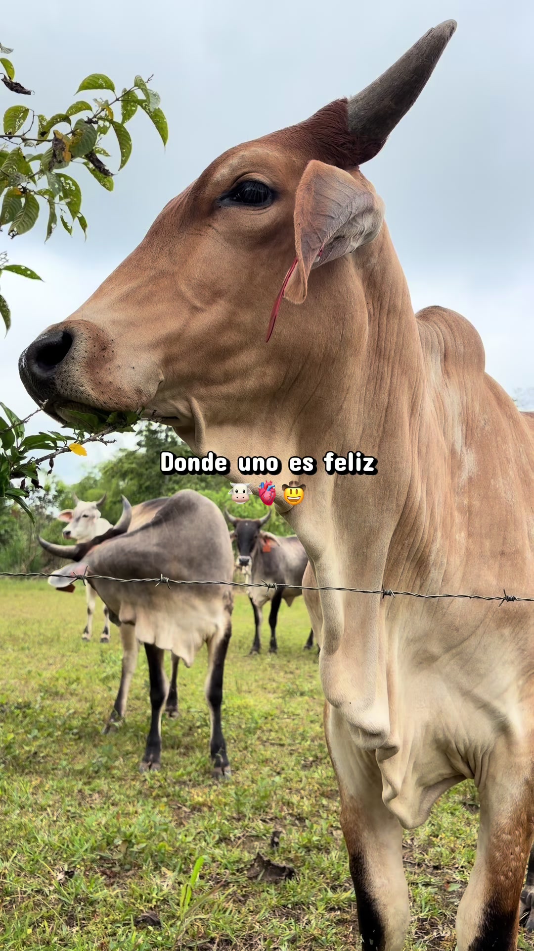 @Cuadra Casa Grande