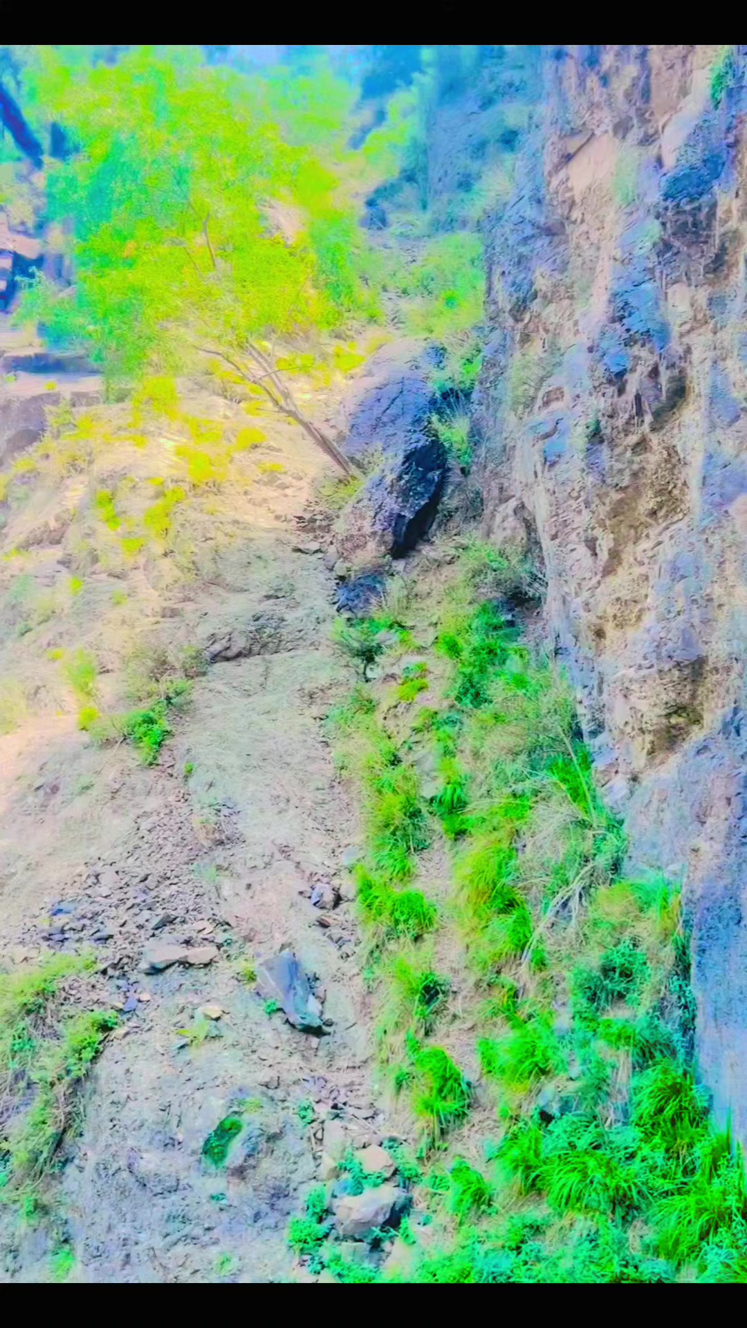 @🌹🌹وزیرستان گلونہ🌹🌹