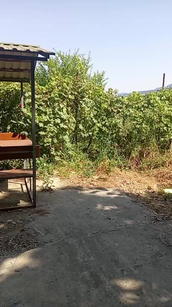 @Daqlı 547