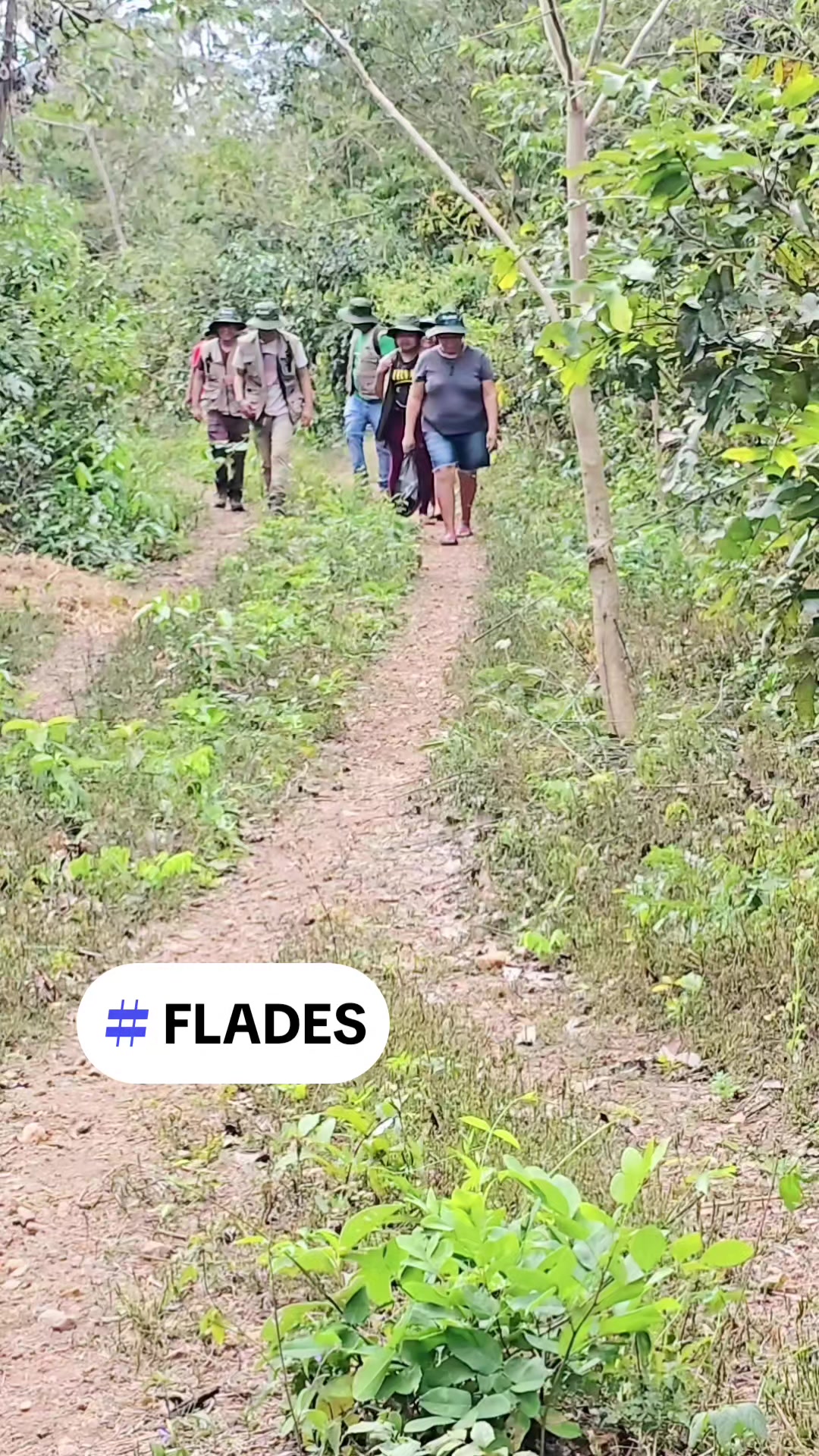 @FLADES